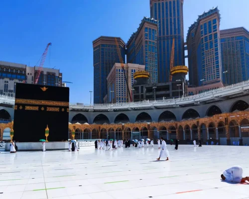 bg-1-rdaspuwwxaz72qms3ze7thpbb9b8kbq3pq7i90i00w